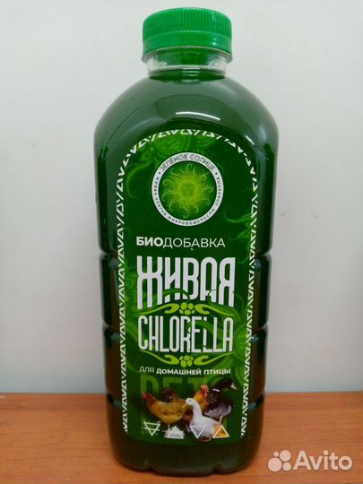 Биодобавка микроводоросль Хлорелла живая