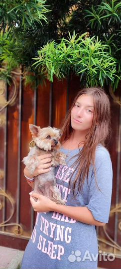 Выгул собак