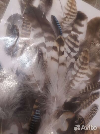 Перья птиц, наборы, творчество, ловцы снов