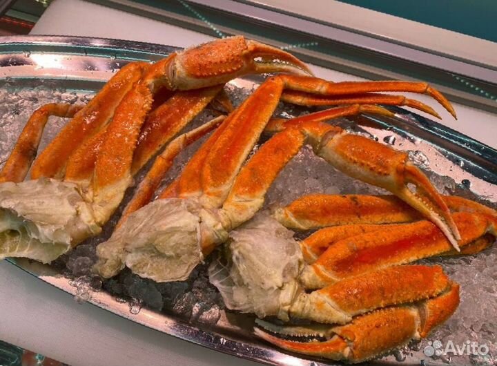 Клешни краба стригуна оптом