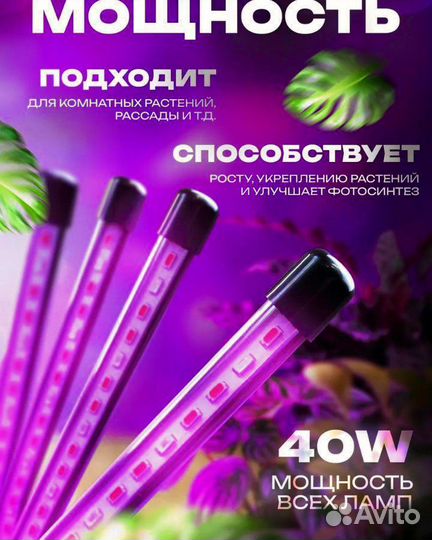 Фитолампа для растений