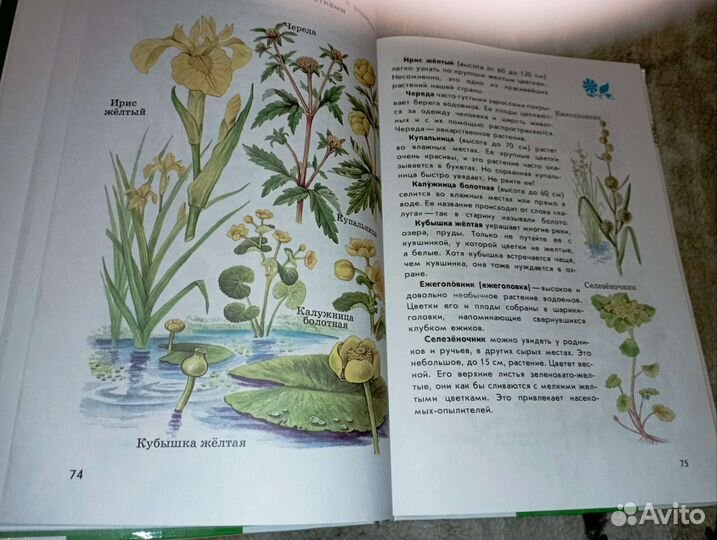 Атлас определитель от земли до неба