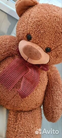 Плюшевый медведь