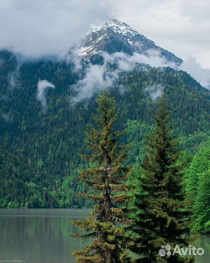 Экскурсия в Абхазию «Золотое кольцо»
