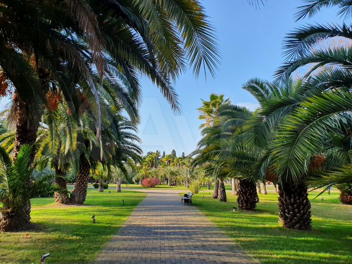 Квартира-студия, 24 м², 2/13 эт.