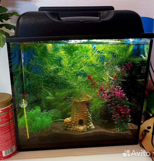 Аквариум 30 л готовый
