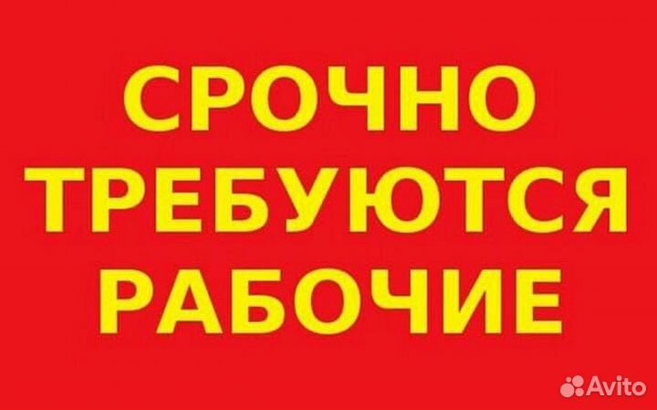 Рабочий без опыта, с обучением вахта