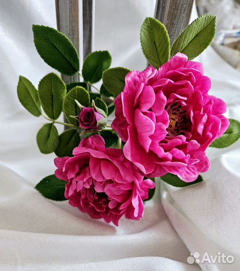 Веточка махрового шиповника