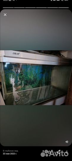 Аквариум
