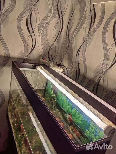 Аквариум 220 литров