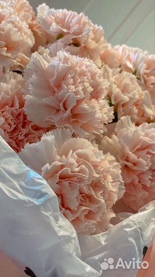 Гвоздики с доставкой