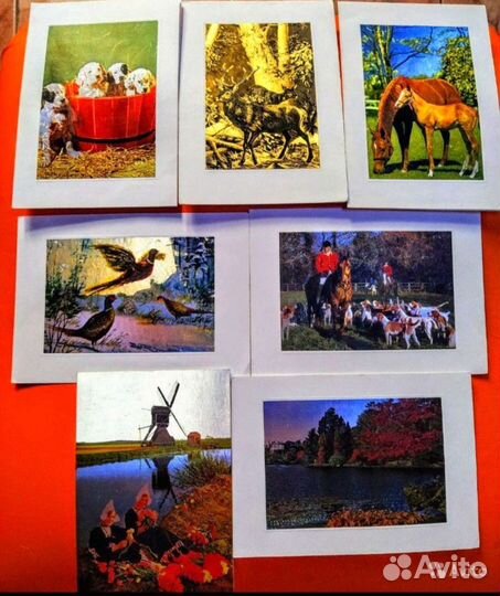 Объемные открытки 50х 60х г Перламутровые