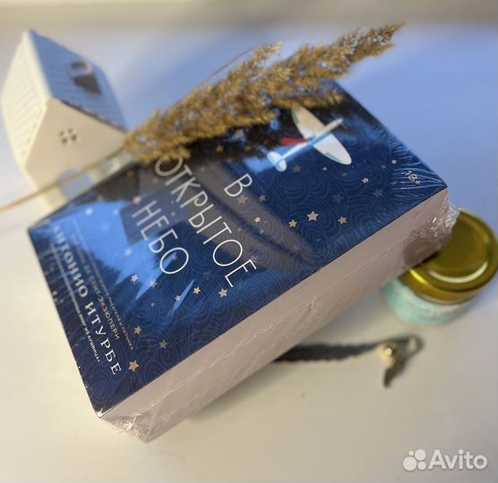 В открытое небо Антонио Итурбе