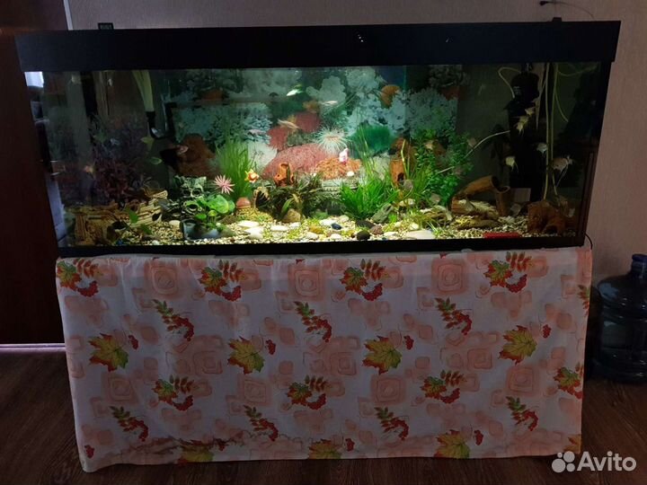 Аквариум
