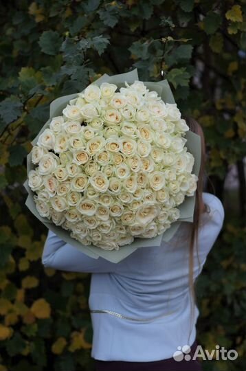 15 роз, 25 роз, 31 роза, 51 роза, 101 роза