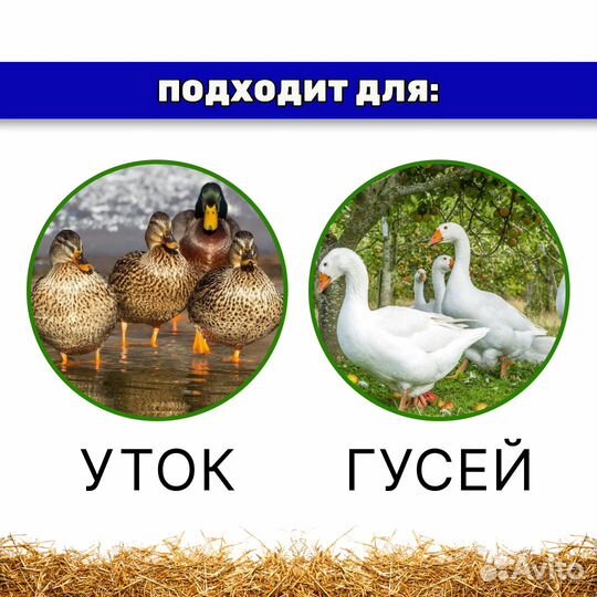 Конусы 10 штук для забоя птиц L