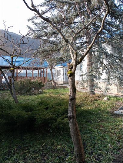 Дом 86 м² на участке 19 сот.