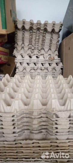 Ячейки для яиц