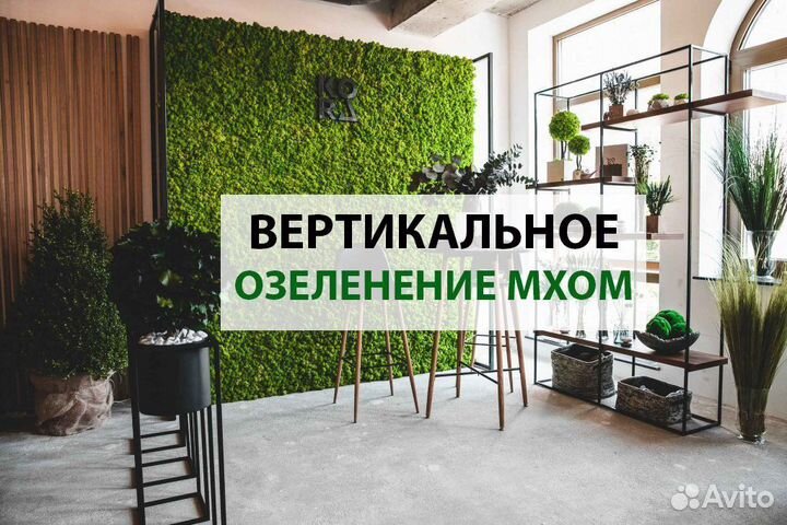 Панно из мха