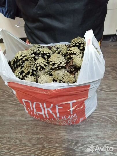 Сосновые шишки для декора