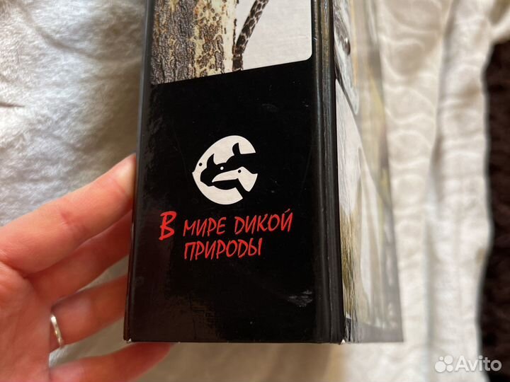 В мире дикой природы, книга детская