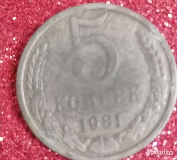 Монета СССР 5 копеек 1981г.в