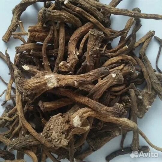 Корень лопуха, одуванчика, пырея, копеечник