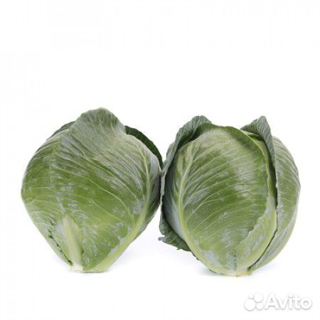 Семена Капусты 