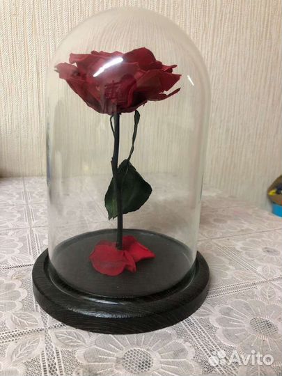 Вечная роза в колбе
