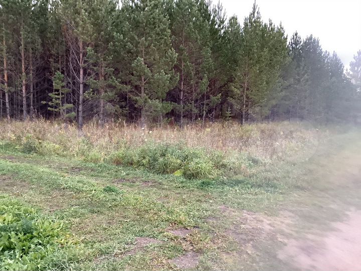 Участок 15 сот. (ИЖС)