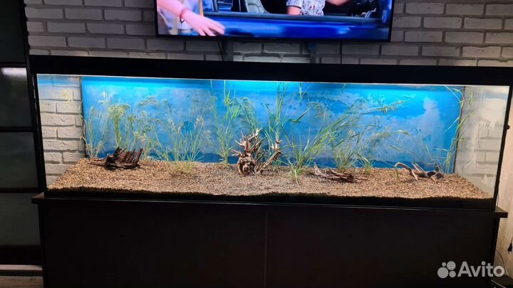 Продам аквариум 500х2500х700