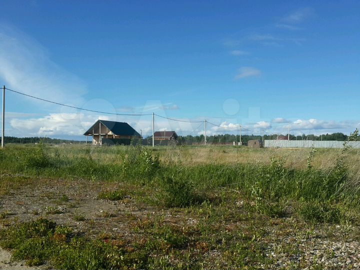 Участок 25 сот. (СНТ, ДНП)