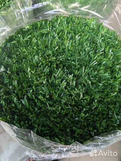 Калифорнийская изгородь / Зеленая изгородь