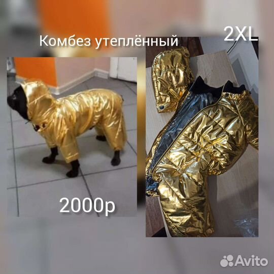 Комбинезоны для собак.Новобайдаевка