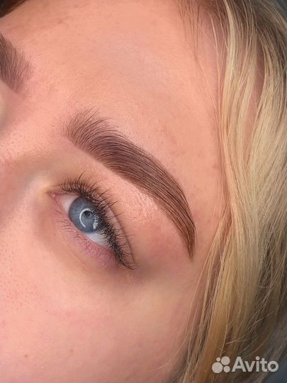 Мастер-бровист