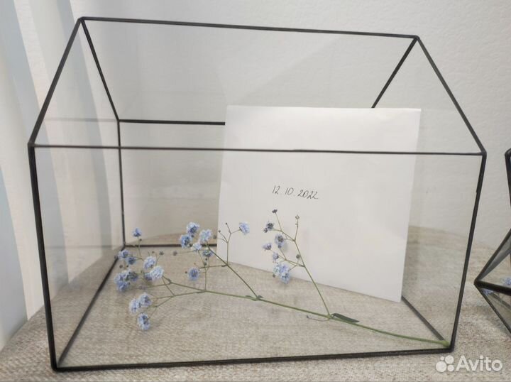 Стеклянный флорариум. Шкатулка. Домик для денег