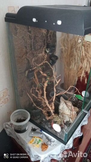 Террариум для рептилий
