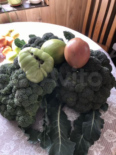 Дача 39 м² на участке 9,5 сот.