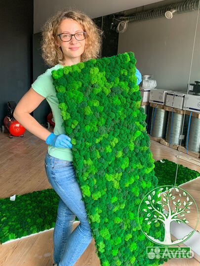 Панно панели фитостены стабилизированный мох