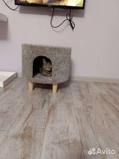 Домик для кошек и маленьких собак