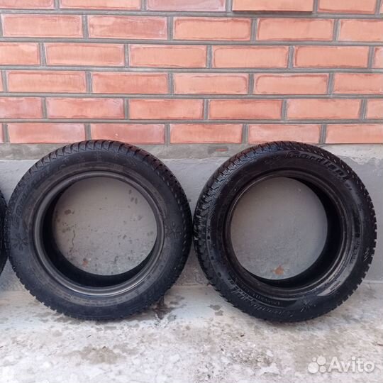 Cordiant Polar SL 185/60 R14