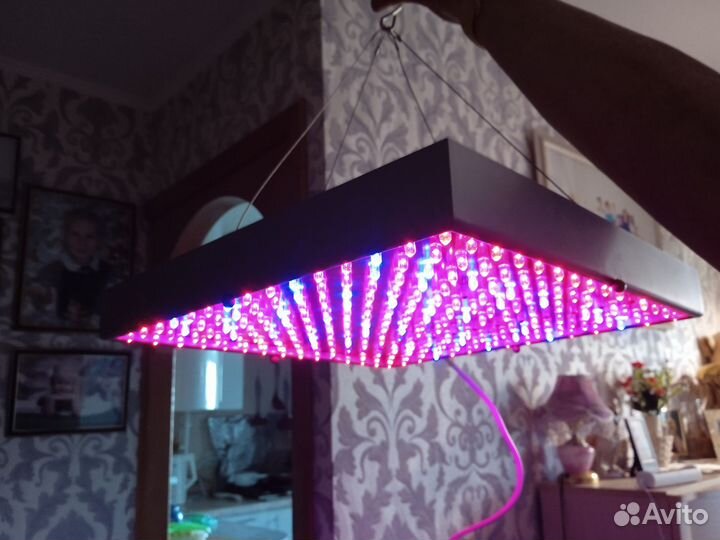 Фито лампа для растений