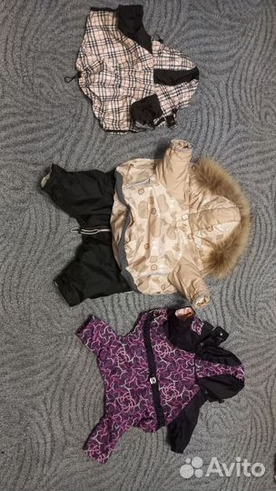 Одежда для маленьких пород собак,щенков