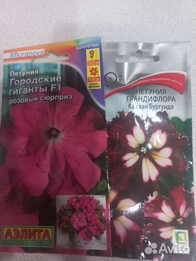 Рассада петунии
