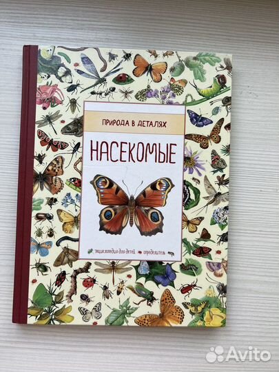 Насекомые. Детская энциклопедия