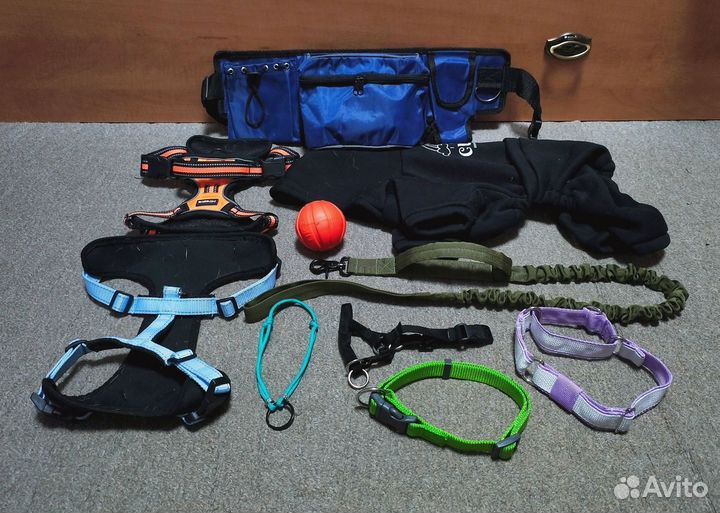 Амуниция, одежда, игрушки для собак