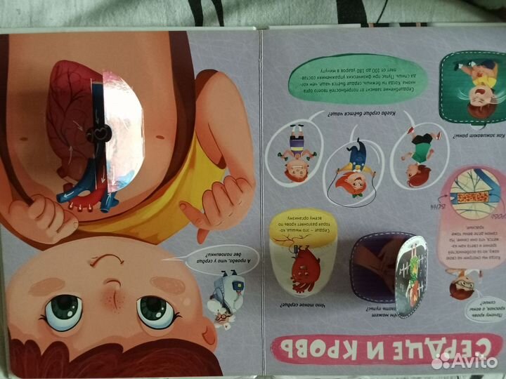 Тело человека книга