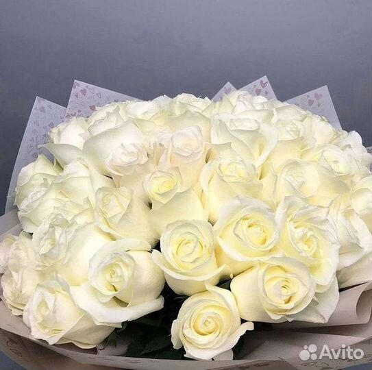 Букет роз 101 роза 51 роза