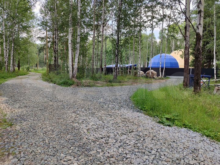 Участок 8 сот. (СНТ, ДНП)