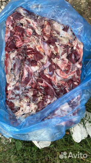 Мясо говядина для собак